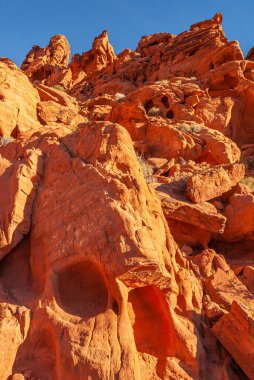 Overton, Nevada, ABD - 11 Aralık 2010: Ateş Vadisi. Mavi gökyüzünün altında kafatasına benzeyen kırmızı kayalarda ürkütücü göz delikleri.. 