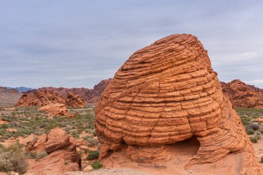 Overton, Nevada, ABD - 11 Mart 2016: Ateş Vadisi. Kuru çöl zemininde, mavi bulutların altında arı kovanına yakın bir yerde. Çevrede yeşil çalılar.