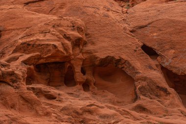 Overton, Nevada, ABD - 11 Mart 2016: Ateş Vadisi. Kırmızı kayanın doğal kenarlı göz çukurlarıyla yakınlaşması korkunç bir görüntü yaratır..