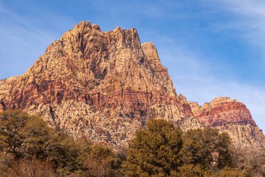Las Vegas, Nevada, ABD - 24 Şubat 2010 Red Rock Canyon Conservation Area. Tam kare bej kaya dağı, mavi bulutların altında kırmızı katman ve önde yeşil ağaçlar..