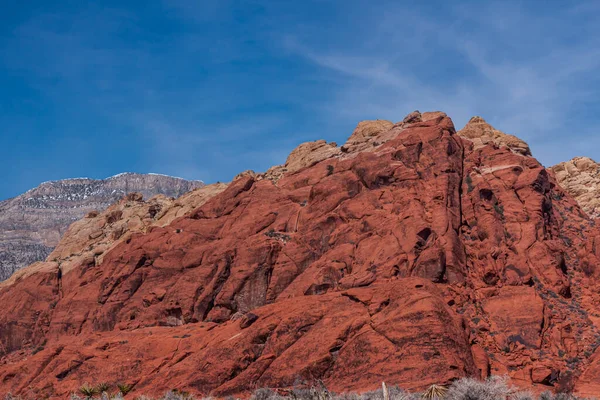 Las Vegas Nevada Usa Lutego 2010 Red Rock Canyon Conservation — Zdjęcie stockowe