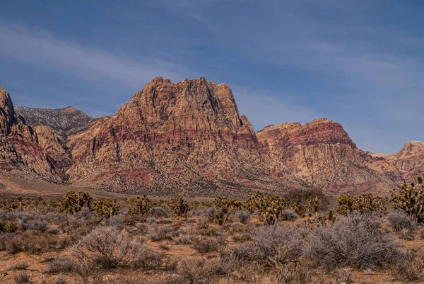 Las Vegas Nevada Usa Лютого 2010 Red Rock Canyon Conservation — стокове фото