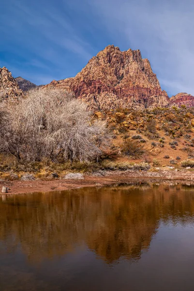 Лас Вегас Невада Сша Февраля 2010 Года Red Rock Canyon — стоковое фото