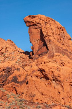 Overton, Nevada, ABD - 11 Aralık 2010: Ateş Vadisi. Mavi gökyüzünün altında kayalıkların üzerinde Kertenkele kırmızı kayalar ve kuru yeşil kısa çalıların yer aldığı portrenin yakın çekimi.