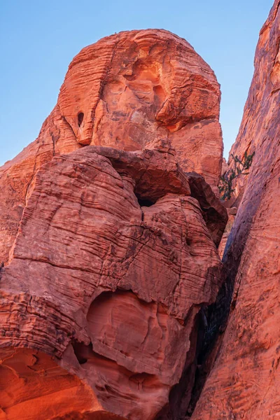 Overton Nevada Usa February 2010 Valley Fire Closeup Red Rock — Stock Photo, Image