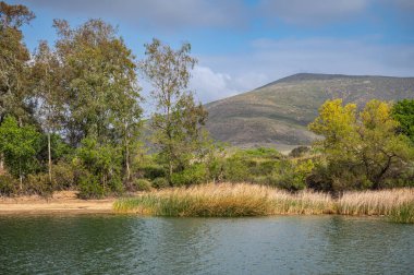 Winchester, CA, USA - 11 Nisan 2022: Skinner Gölü. Yeşil yapraklı ağaçlar, yeşil sular boyunca kumlu kıyılar ve sazlıklar, mavi bulutların altında ufuktaki karanlık tepeler..