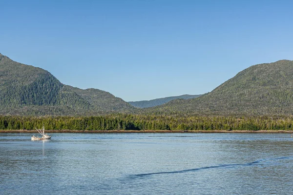 Ketchikan Alaska Usa July 2011 Wide Landscape Featuring Dense Green — Stock Photo, Image