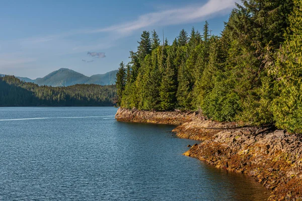 Ketchikan Alaska Usa Lipca 2011 Krajobraz Gęsty Zielony Las Nad — Zdjęcie stockowe