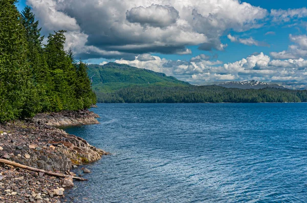 Ketchikan Alaska Julio 2011 Paisaje Denso Bosque Verde Sobre Costa — Foto de Stock