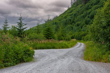 Hoonah, Alaska, ABD - 18 Temmuz 2011: Dağlık yamacın dibindeki yaban yeşil manzarayı kesen kirli yollar.