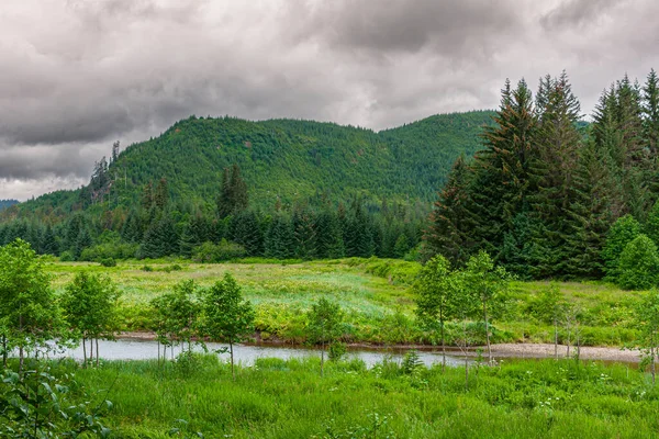 Hoonah Alaska Usa Juli 2011 Brett Grönt Landskap Vildmarken Med — Stockfoto