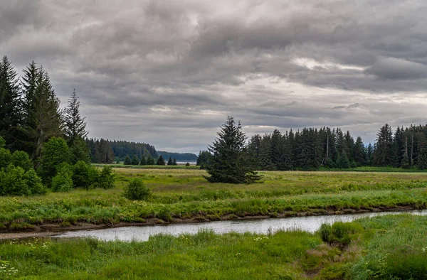 Hoonah Alaska Usa Juli 2011 Breed Vlak Groen Landschap Wildernis — Stockfoto