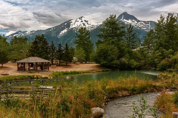 알래스카 Alaska 2011 Fuller Creek 뒷부분에 눈덮인 시내를 풍부하고 나무로 — 스톡 사진