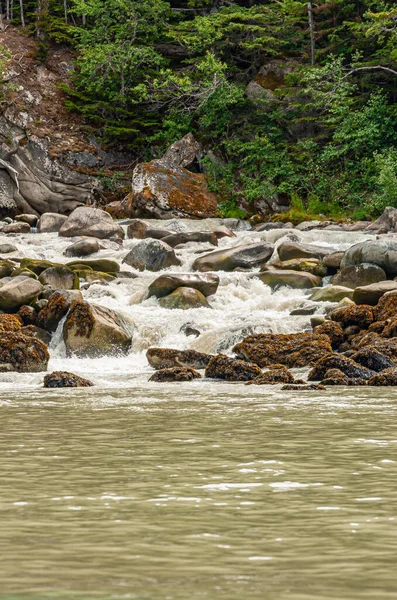 Skagway Alaska Usa Juli 2011 Taiya Inlet Ovanför Chilkoot Inlet — Stockfoto