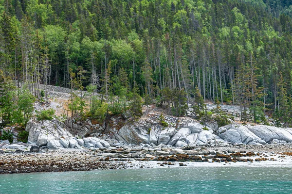 Skagway Alaska Usa Juli 2011 Taiya Inlaat Boven Chilkoot Inlet — Stockfoto