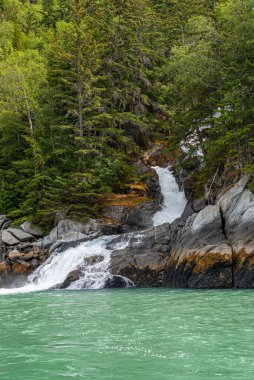 Skagway, Alaska, ABD - 20 Temmuz 2011: Chilkoot körfezinin yukarısındaki Taiya körfezi. Son 10 metrelik şelalenin portresi yeşil okyanus suyuna ulaşıyor kahverengi-gri kayaların üzerinde yüzüyor yeşil yaprakları kesiyor.