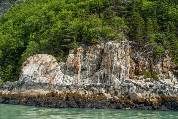 Skagway Alaska Usa July 2011 Εισαγωγή Taiya Πάνω Από Chilkoot — Φωτογραφία Αρχείου