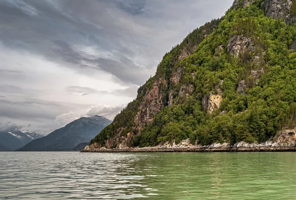 Skagway アラスカ アメリカ 2011年7月20日 Chilkoot Inletの上のTaiya Inlet 緑の海の水から上昇緑の森林の山の側面と広いフィヨルドの風景 灰色の雲の下の地平線の山 — ストック写真