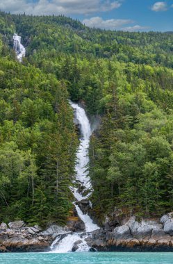 Skagway, Alaska, ABD - 20 Temmuz 2011: Chilkoot körfezinin yukarısındaki Taiya körfezi. Ön manzara. Tepeden tırnağa beyaz şelale yeşil okyanus suyuna ulaşır. Her iki taraf da çeşit çeşit ağaçlarla doludur..