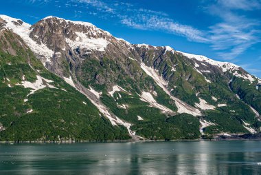 Sihirbazlık Körfezi, Alaska, ABD - 21 Temmuz 2011: Mavi gökyüzü altındaki ormanlık dağ yamacındaki kısa buzullar yüzen buz parçalarıyla yeşil okyanus suyuna ulaşamaz.