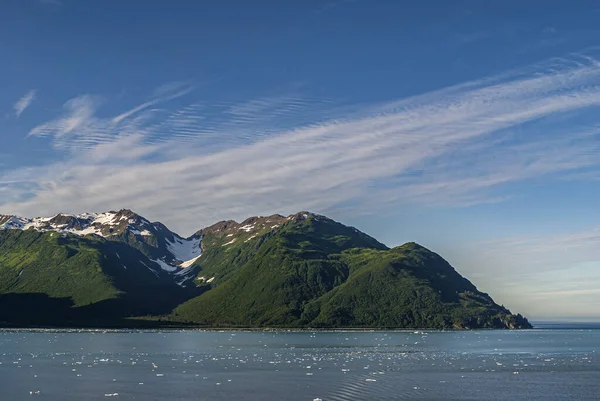 Kiábrándulás Bay Alaszka Usa Július 2011 Zöld Erdős Hófödte Hegyi — Stock Fotó