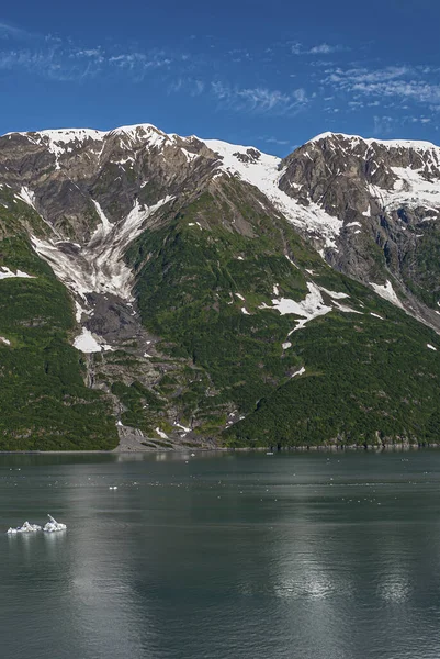 Залив Разочарований Аляска Сша Июля 2011 Небольшой Ледник Лесистом Горном — стоковое фото