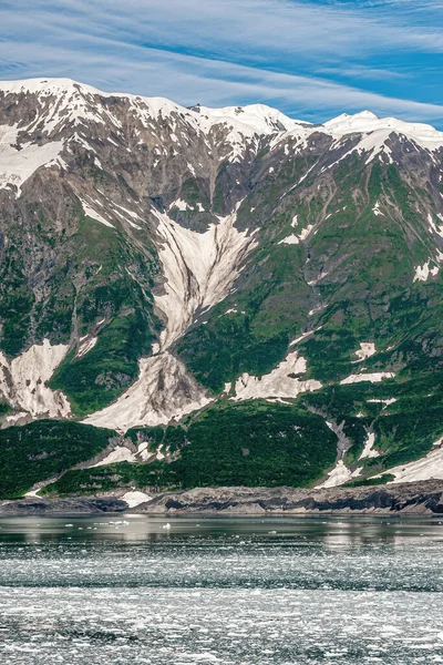 Залив Разочарования Аляска Сша Июля 2011 Года Выпадение Короткого Грязного — стоковое фото