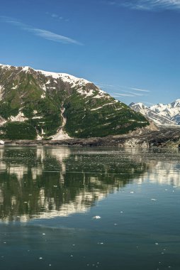Dischantment Bay, Alaska, ABD - 21 Temmuz 2011: Turner buzulunun bitişiğindeki yeşil dağ kanadı mavi gökyüzünün altındaki mavi okyanus suyu. Arkada karla kaplı dağlar olan bir portre.