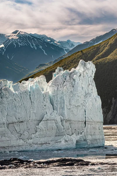 Disenchantment Bay Aljaška Usa Července 2011 Detailní Portrét Bílého Modrého — Stock fotografie