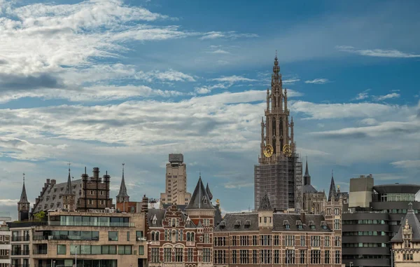 Amberes Flandes Bélgica Julio 2022 Visto Desde Río Scheld Skyline — Foto de Stock