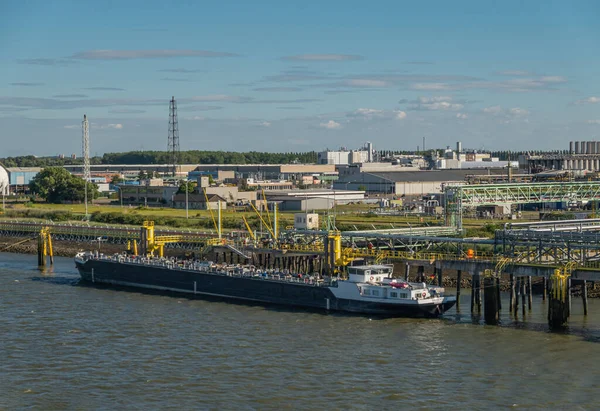 Antwerpen Flandern Belgien Juli 2022 Kemisk Industri Längs Scheldt River — Stockfoto