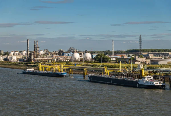 Antwerpen Flandern Belgien Juli 2022 Chemieindustrie Der Linksseitigen Schelde Anlegestelle — Stockfoto