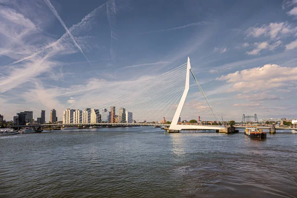 オランダのロッテルダム 2022年7月11日 Erasmusbrug Bridge 白い線で青空の下で風景 ニューマウス川を挟んで対岸のブーンジェスキードに新しい高層建築物がある — ストック写真
