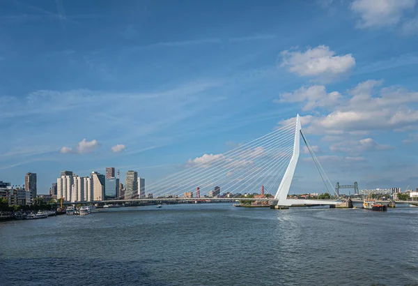 Rotterdam Países Bajos Julio 2022 Mirando Hacia Través Erasmusbrug Puente — Foto de Stock