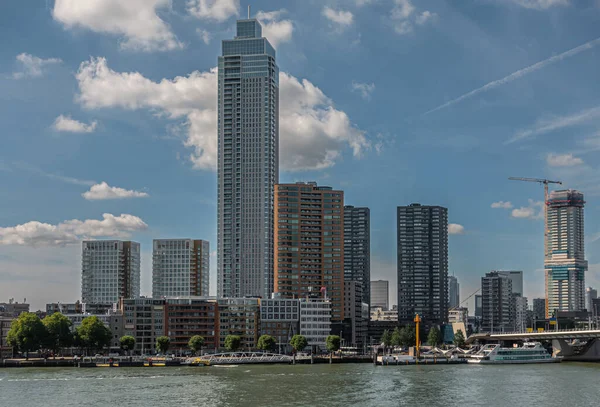 Rotterdam Nederländerna Juli 2022 Zalmhaven Bostadshus Skyskrapa Och Andra Höghus — Stockfoto