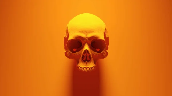 Pomarańczowy Człowiek Kobieta Czaszka Medyczny Anatomiczny Pomarańczowy Tło Ilustracja Renderować — Zdjęcie stockowe