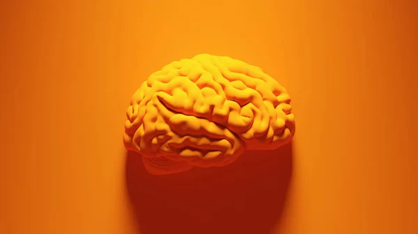 Orange Human Brain Orange Background Ilustrație Render — Fotografie, imagine de stoc