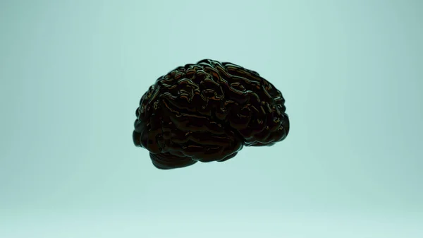 Shiny Black Brain Anatomy Cerebral Power Red Blue Oil Reflection — Stock fotografie