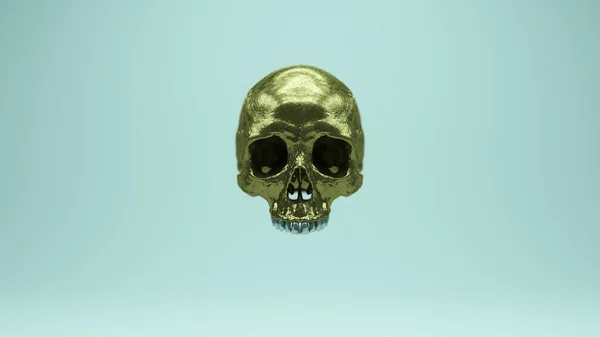 金ブロンズスカル死古い真鍮ハロウィンスケルトンヘッドフィールド3Dイラストレンダリングの深さの — ストック写真