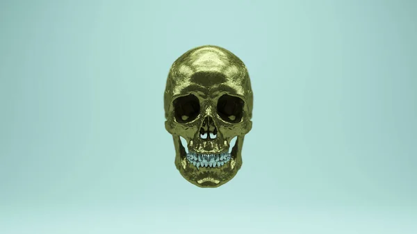 Gold Bronze Skull Death Old Brass Halloween Skeleton Head Dof — Stock fotografie