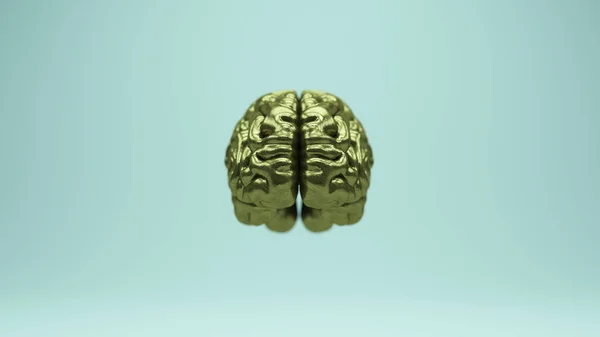 Brain Gold Bronze Front Old Brass Anatomy Mind Power Reflection — стокове фото