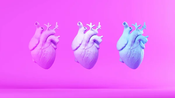Roze Blauw Anatomisch Menselijk Hart Trans Gezondheidszorg Gelijkheid Mannelijke Vrouwelijke — Stockfoto