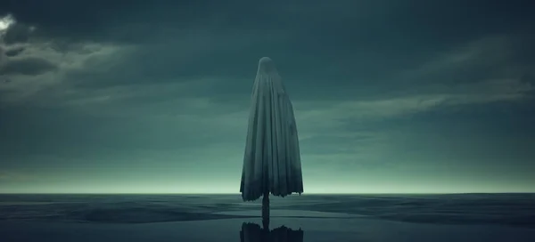 Creepy Ghost Walking Жінка Sheet Wet Beach Dusk Паранормальний Ілюстрація — стокове фото