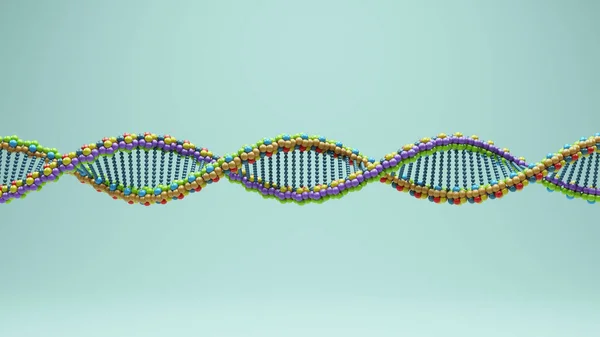 DNA Double Helix Spiral Molecule Science Biology Research Multi Coloured Cell Deoxyribonucleic Acid Biotechnology Gene Structure 3d illustration render