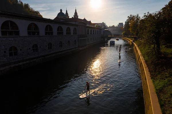 Gün Batımında Sörf Yapan Sup Spor Grubu Üyeleri Ljubljanica Nehir Telifsiz Stok Imajlar