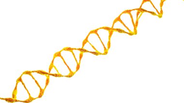 Bu sahne, beyaz arkaplandaki bir DNA molekülünün mikroskobu altında incelenir. Moleküler biyoloji ve biyoteknoloji kavramı, deoksiribonükleik asit genomları. 3B görüntüleme.