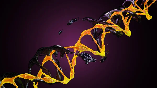 Gelecekteki çift DNA ipliği, iki renk, mikroskop altında karanlık bir arkaplan karşısında ufalanan kabukları olan dinamik bir sahne. Moleküler biyoloji ve biyoteknoloji konsepti, DNA genomları. 3B görüntüleme