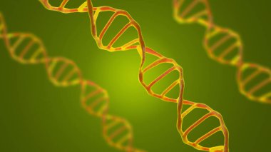 Bu sahne, DNA moleküllerini mikroskop altında yeşil bir arkaplanla karşılaştırıyor. Moleküler biyoloji ve biyoteknoloji kavramı, deoksiribonükleik asit genomları. 3B görüntüleme.