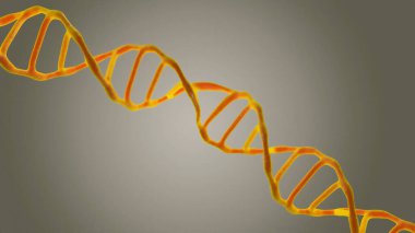 Bu sahnede, DNA molekülleri mikroskop altında gri, parlak bir arka planda incelenir. Moleküler biyoloji ve biyoteknoloji kavramı, deoksiribonükleik asit genomları. 3B görüntüleme.
