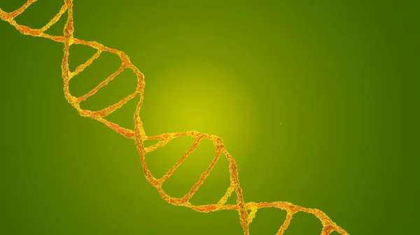 Bu sahnede, DNA molekülleri mikroskop altında yeşil bir arka planda incelenir. Moleküler biyoloji ve biyoteknoloji kavramı, deoksiribonükleik asit genomları. 3B görüntüleme.
